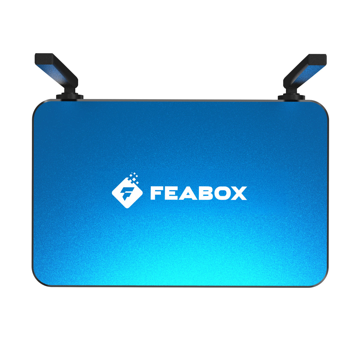 FeaBox F1 Max display